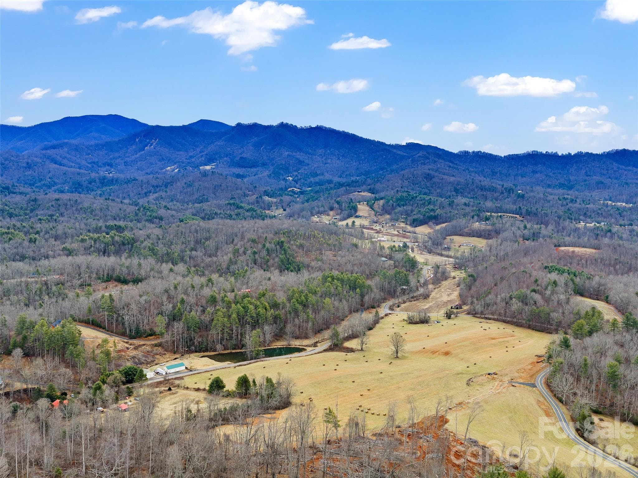 Acreage at 784 Green Young Cemetery Road, Bakersville, photo 23 of 46