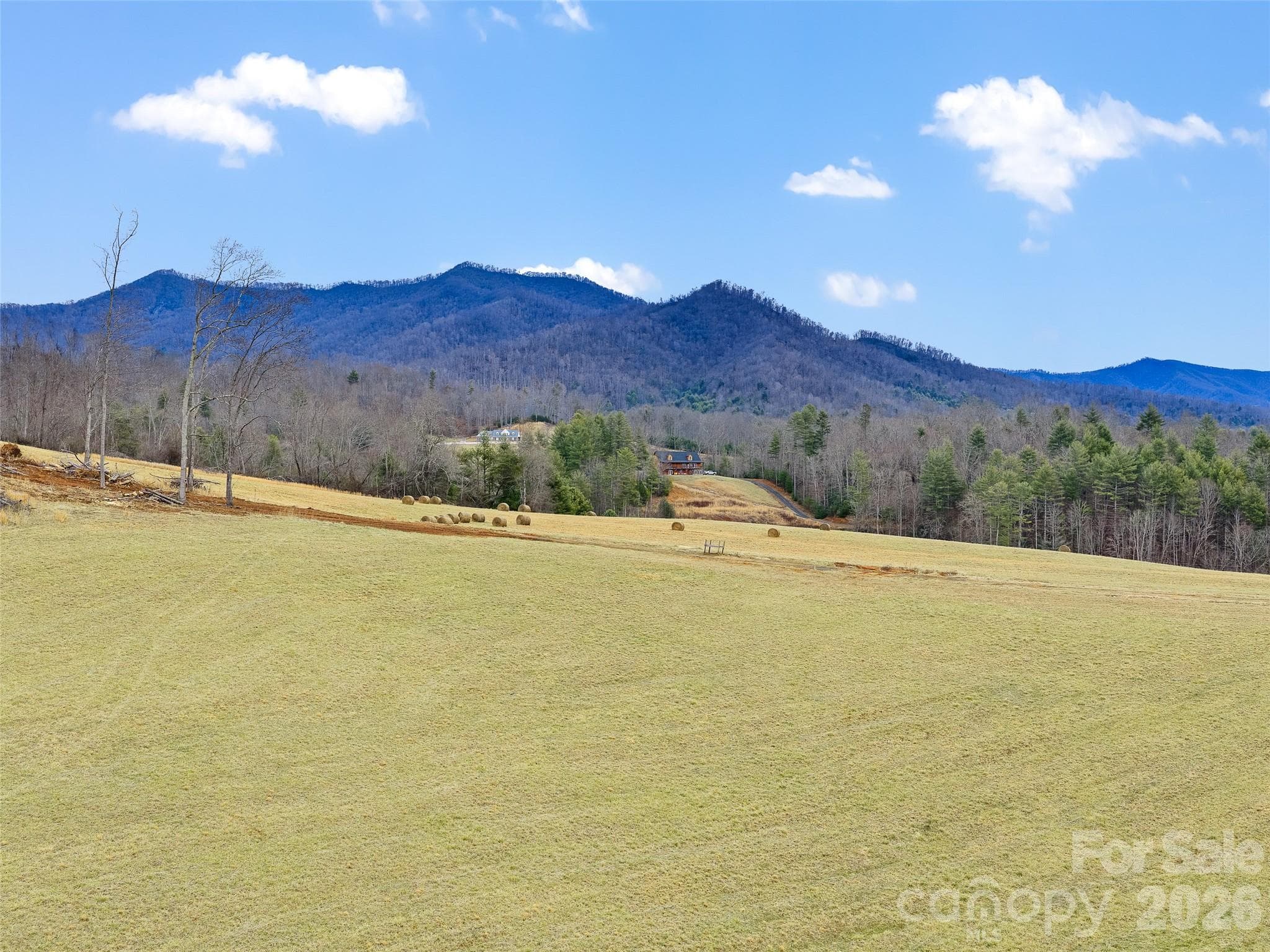 Acreage at 784 Green Young Cemetery Road, Bakersville, photo 24 of 46