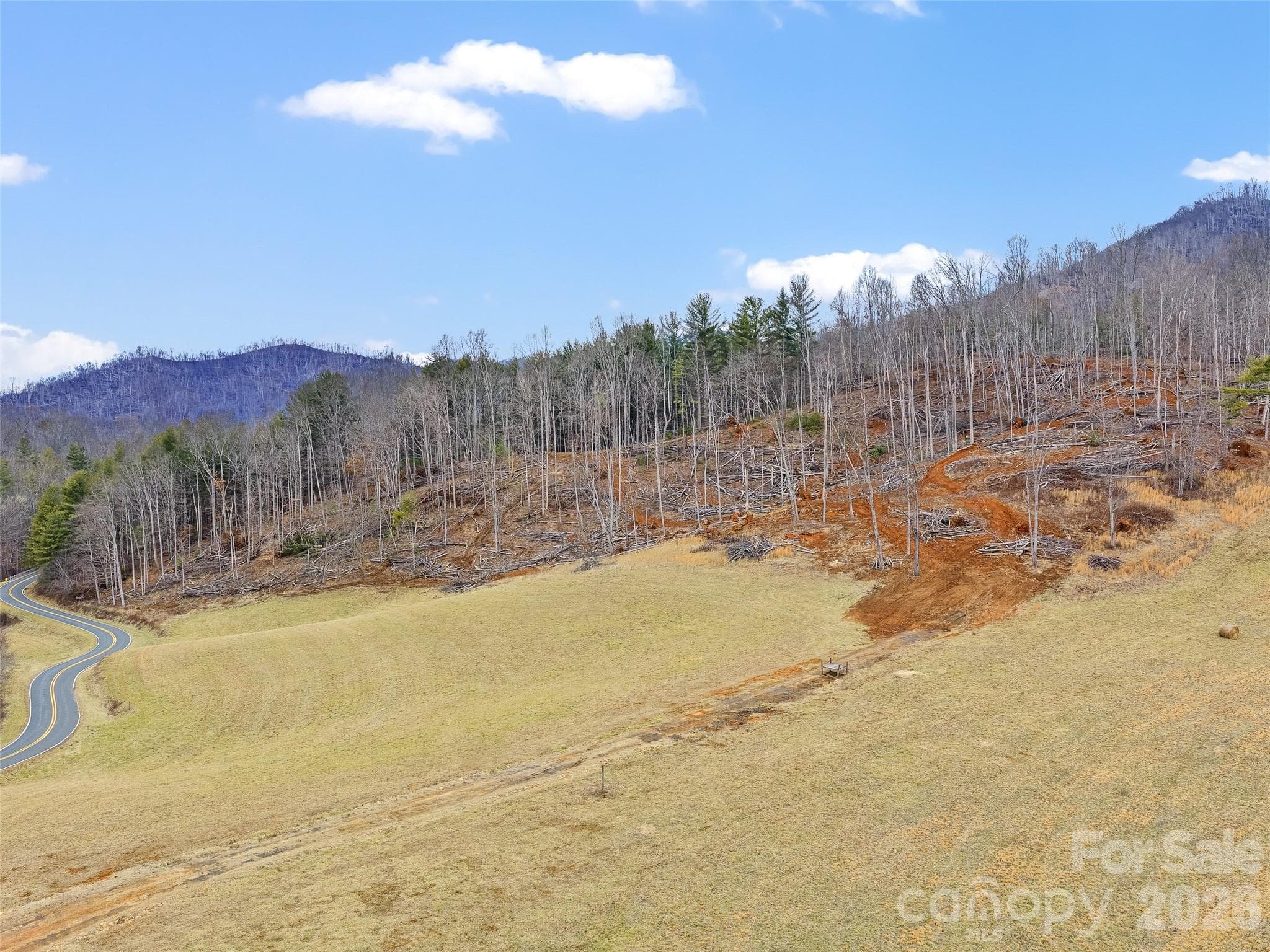 Acreage at 784 Green Young Cemetery Road, Bakersville, photo 25 of 46