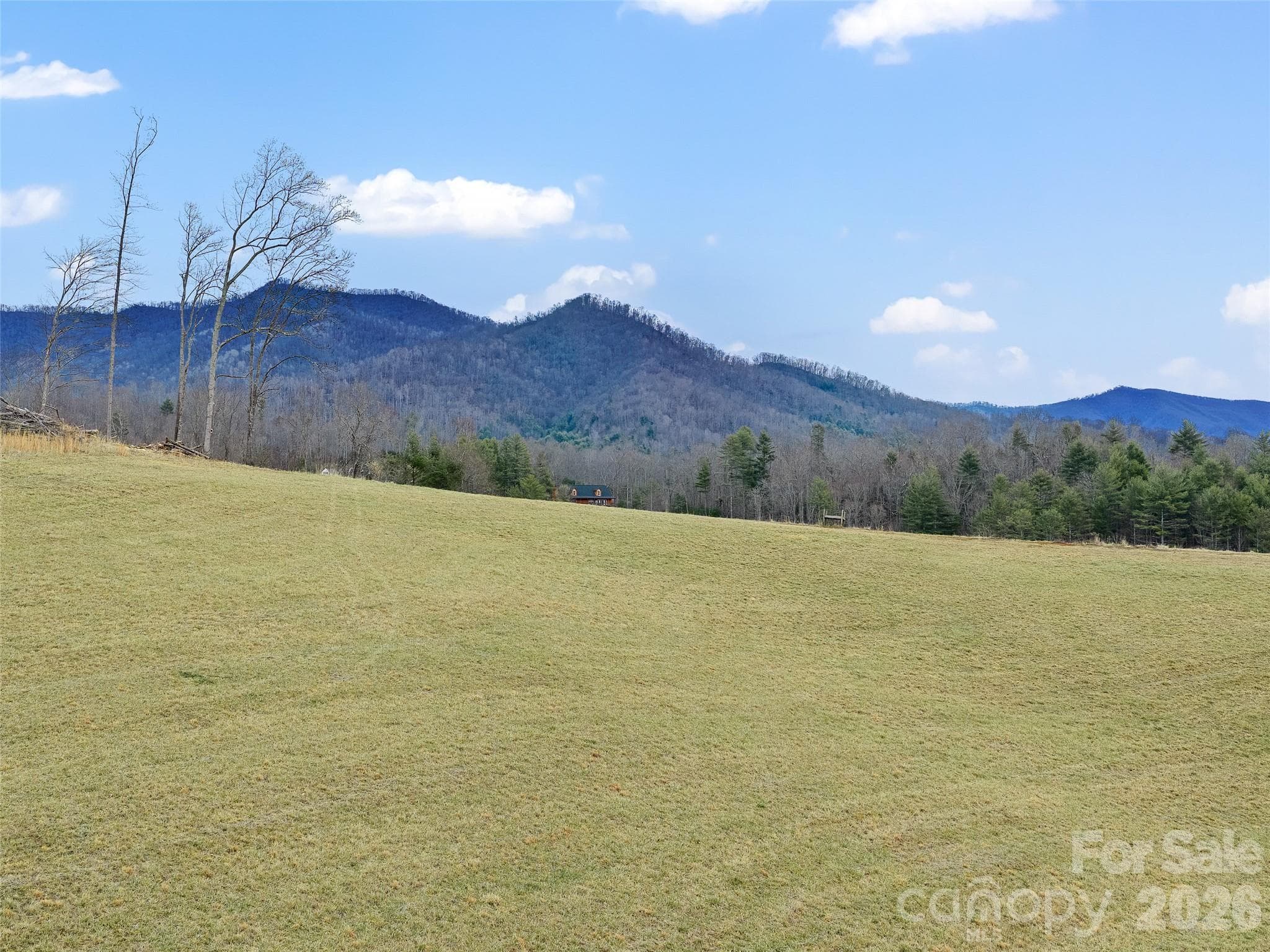 Acreage at 784 Green Young Cemetery Road, Bakersville, photo 26 of 46