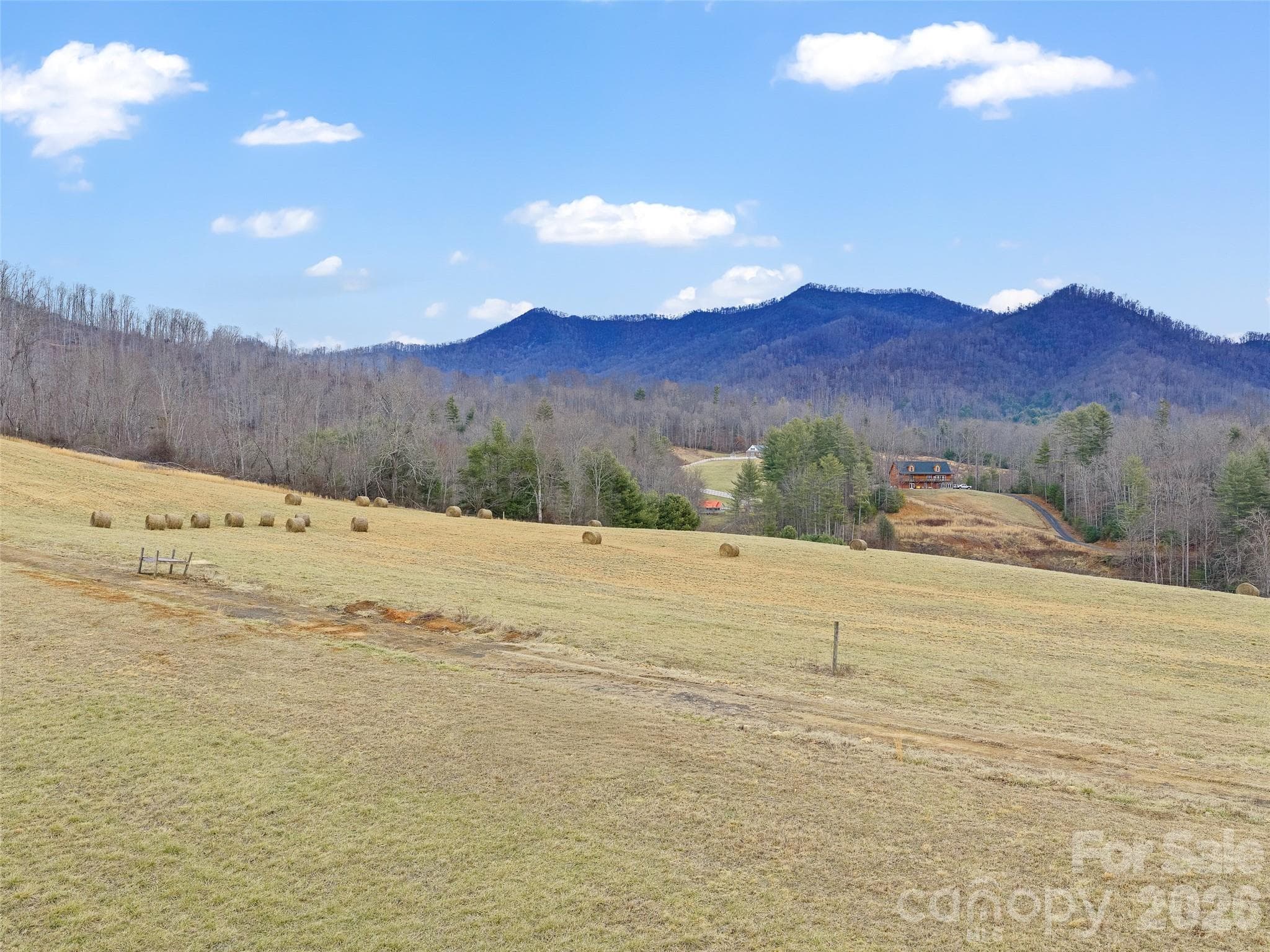Acreage at 784 Green Young Cemetery Road, Bakersville, photo 28 of 46