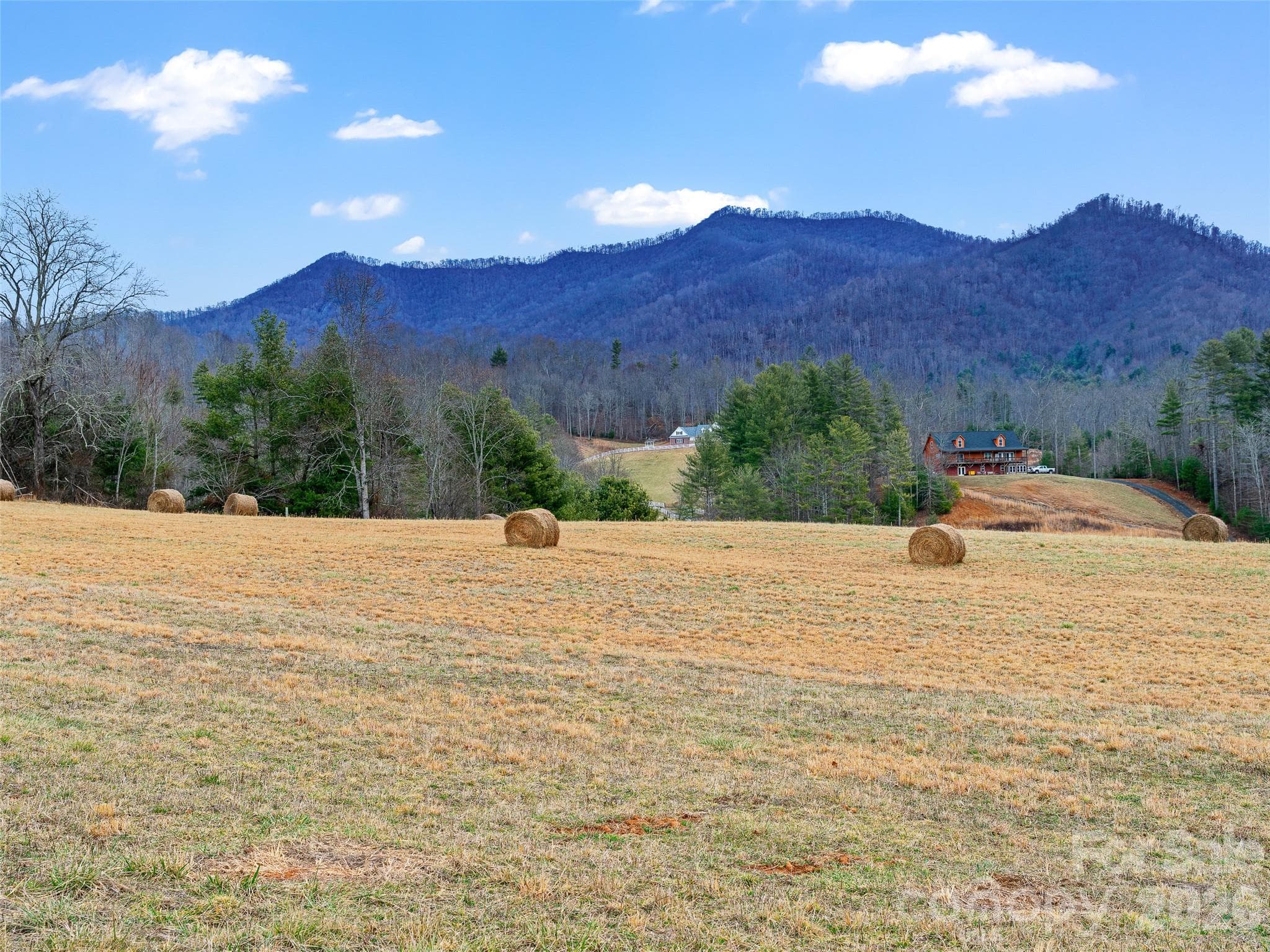Acreage at 784 Green Young Cemetery Road, Bakersville, photo 30 of 46