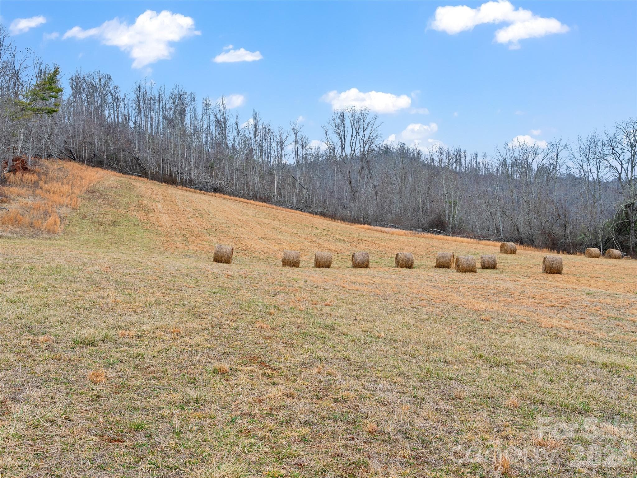 Acreage at 784 Green Young Cemetery Road, Bakersville, photo 31 of 46