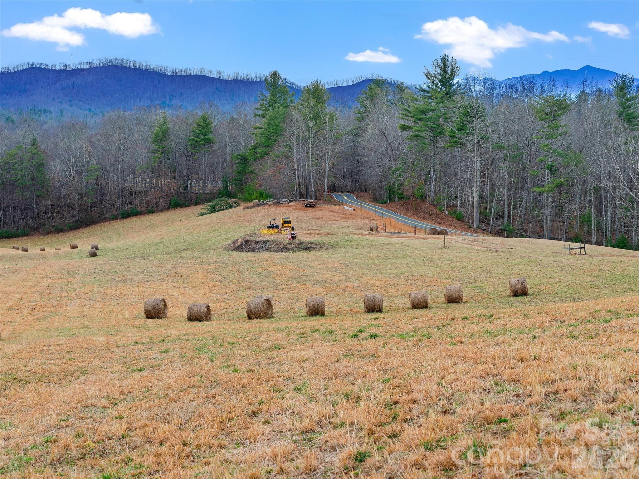 Acreage at 784 Green Young Cemetery Road, Bakersville, photo 33 of 46