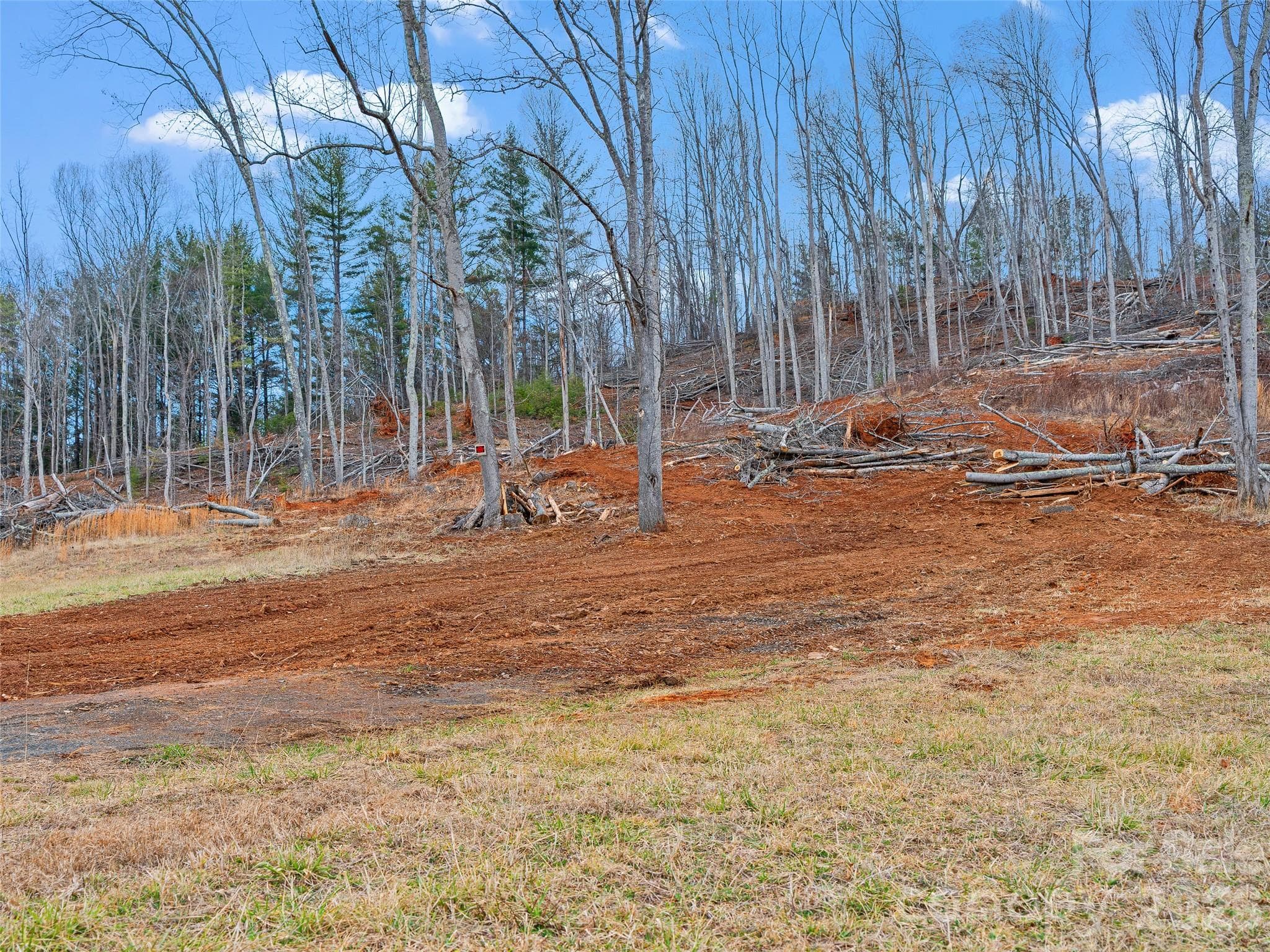 Acreage at 784 Green Young Cemetery Road, Bakersville, photo 36 of 46