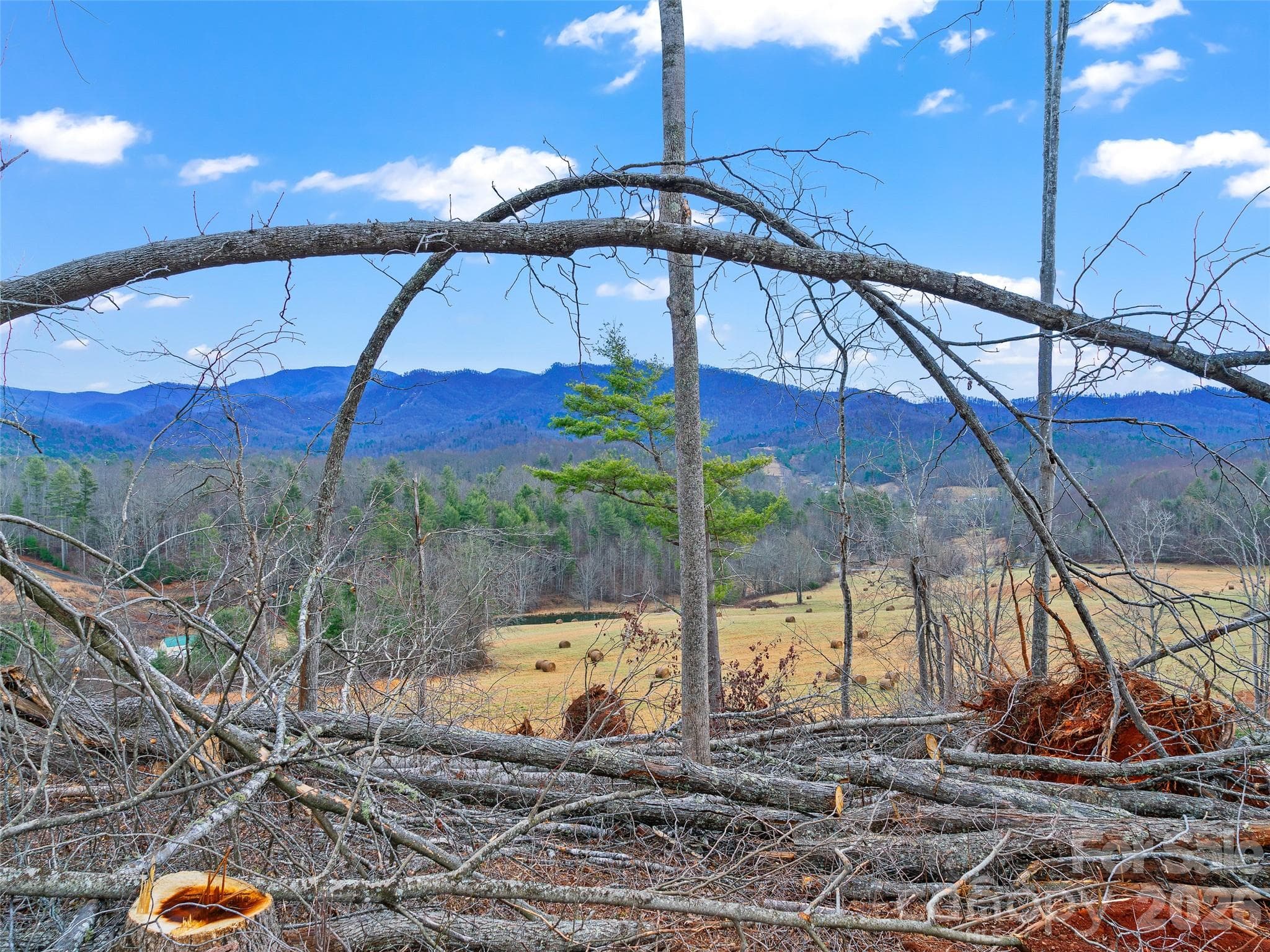 Acreage at 784 Green Young Cemetery Road, Bakersville, photo 38 of 46