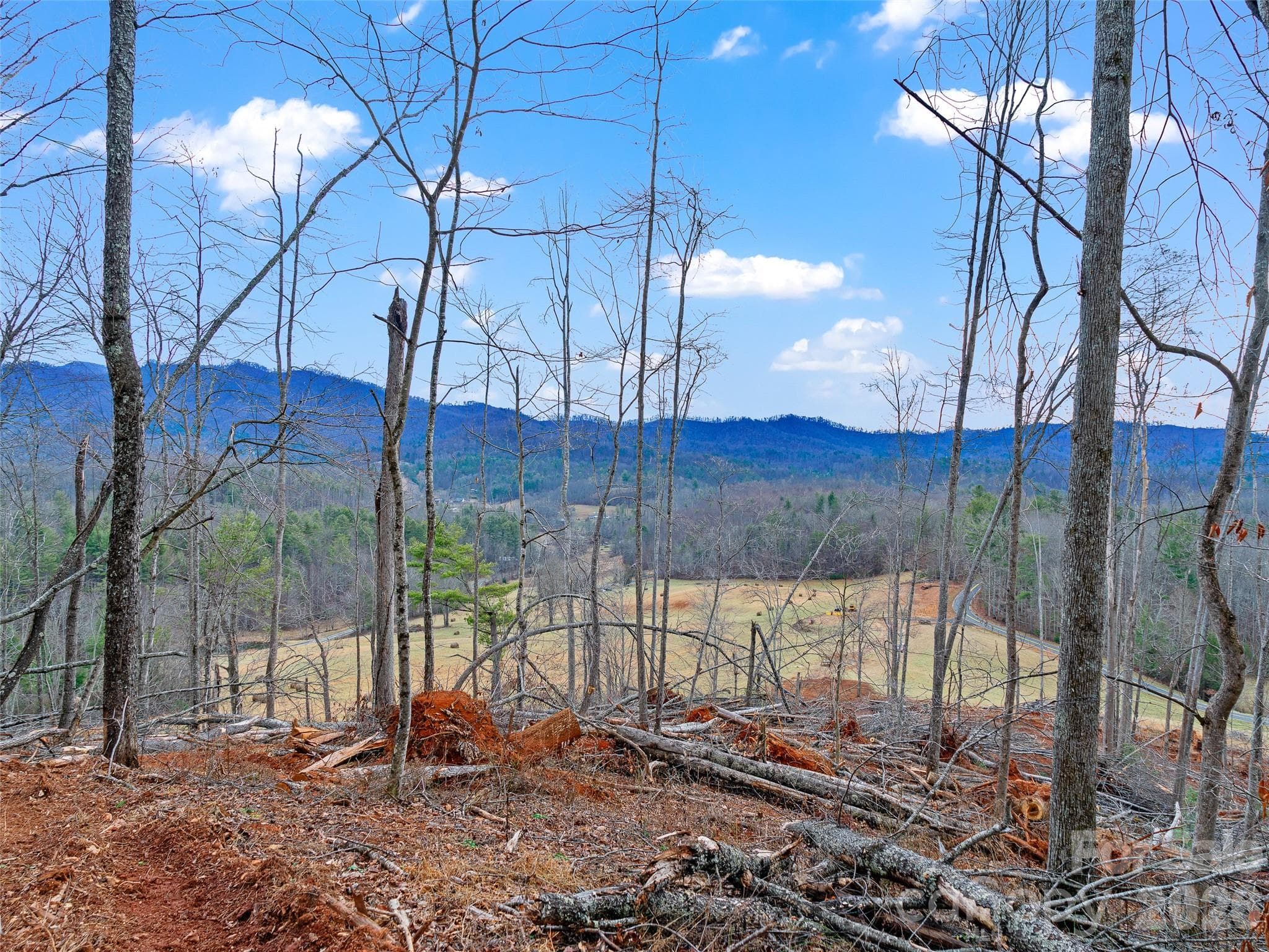 Acreage at 784 Green Young Cemetery Road, Bakersville, photo 39 of 46
