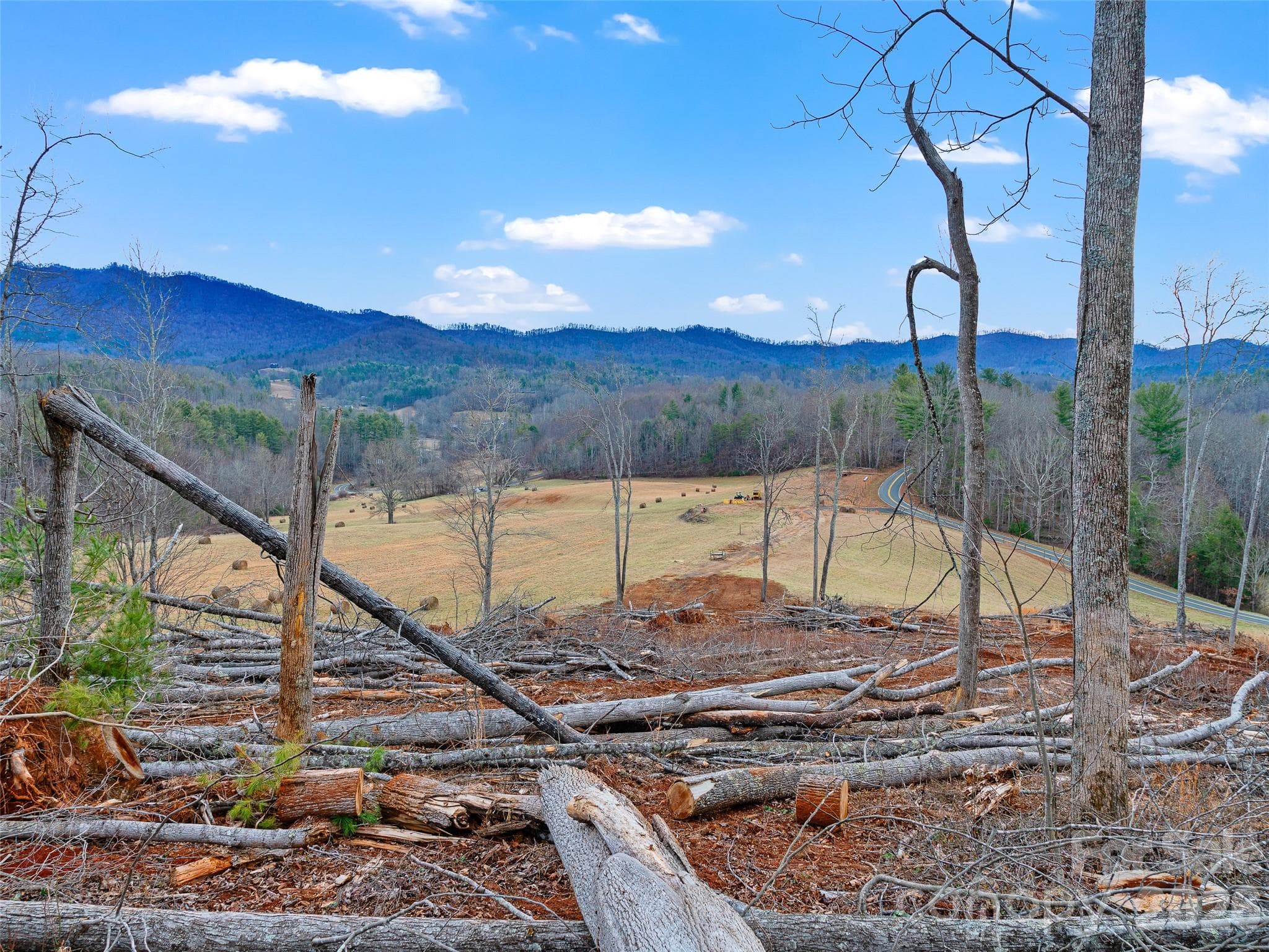 Acreage at 784 Green Young Cemetery Road, Bakersville, photo 40 of 46