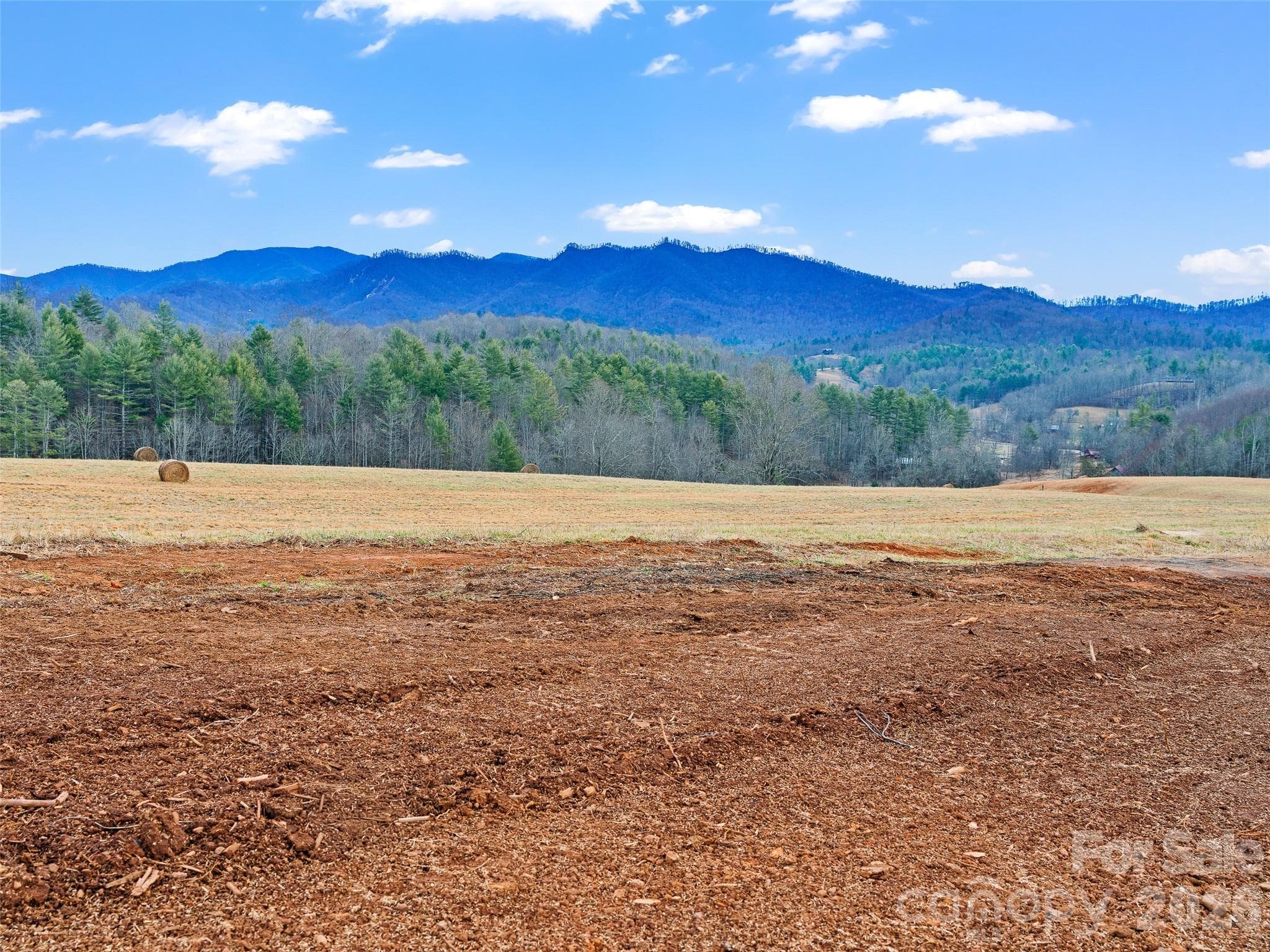 Acreage at 784 Green Young Cemetery Road, Bakersville, photo 42 of 46