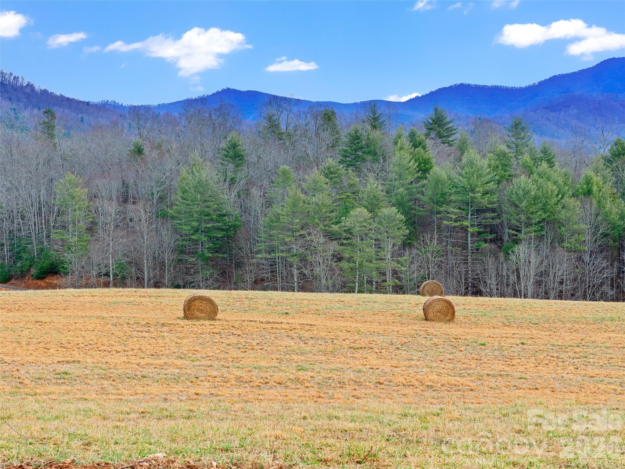 Acreage at 784 Green Young Cemetery Road, Bakersville, photo 43 of 46