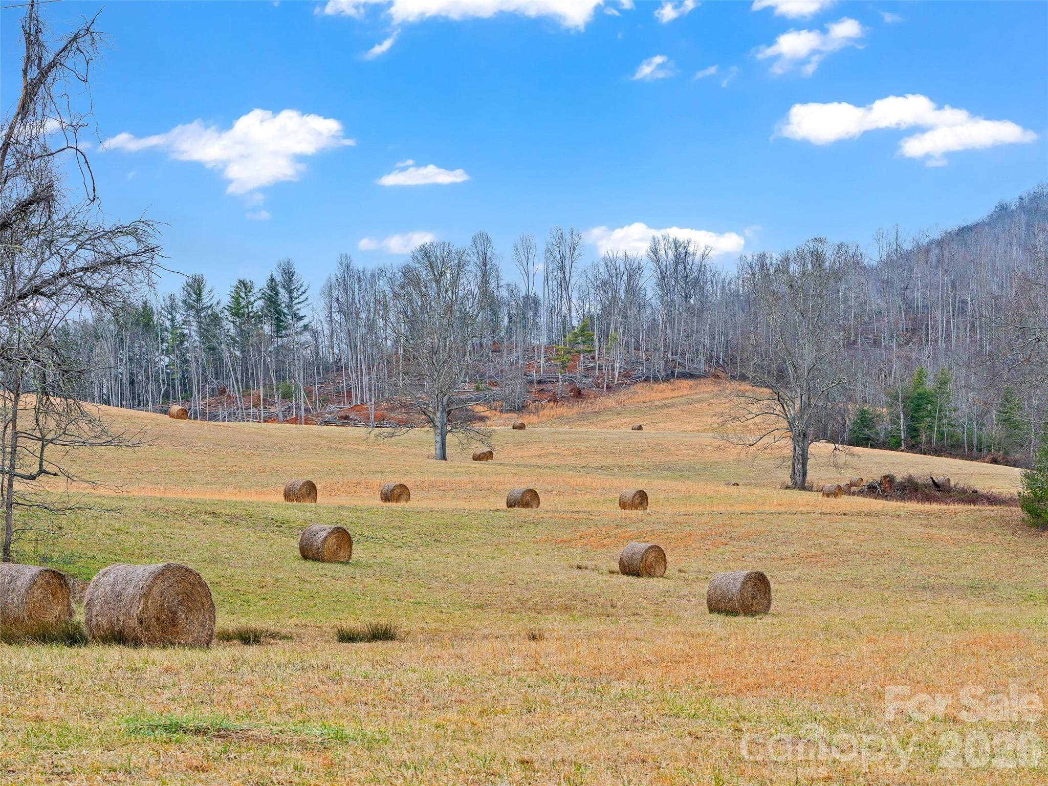 Acreage at 784 Green Young Cemetery Road, Bakersville, photo 46 of 46