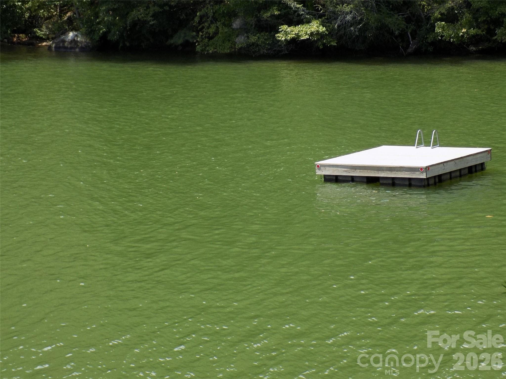 swim Dock - 0 Falls View Trail, Lake Lure