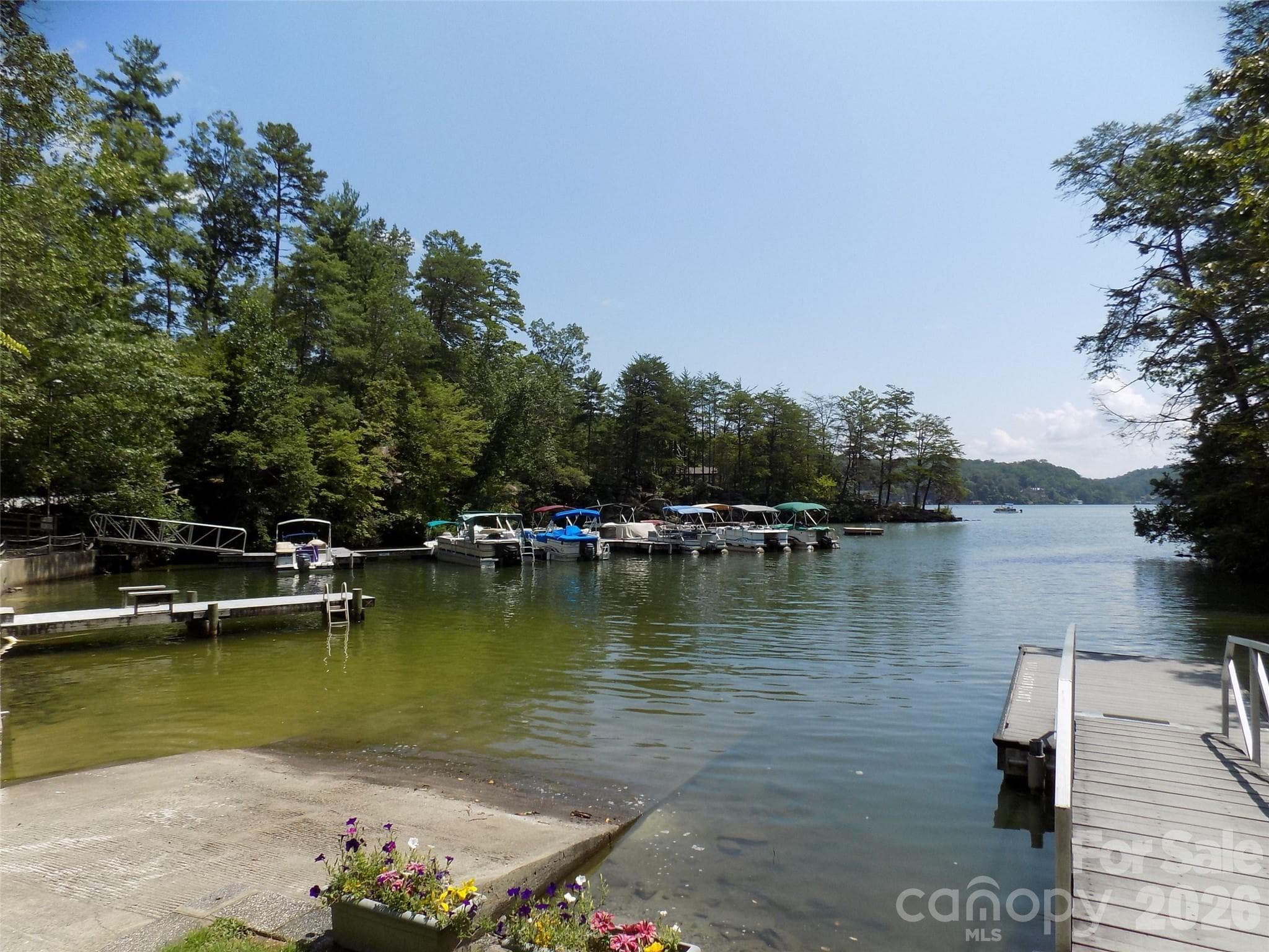 Lot at 0 Falls View Trail, Lake Lure, photo 6 of 15