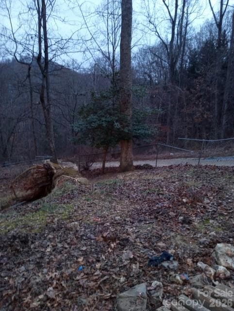 Yard - 67 Earwood Ridge Road, Fairview