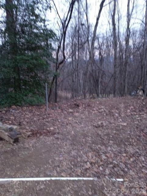 Yard - 67 Earwood Ridge Road, Fairview