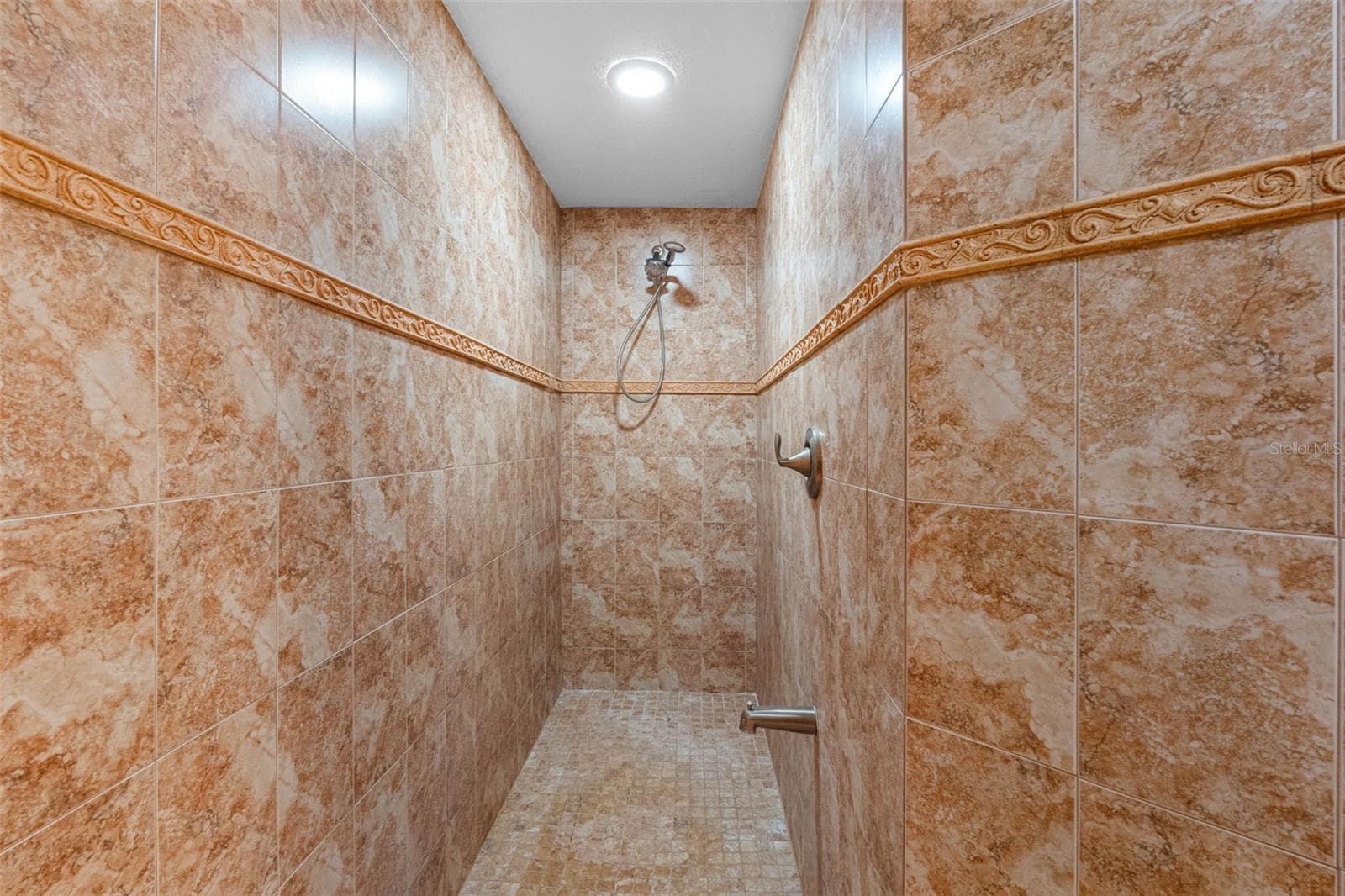 Bathroom Suite Walk-In Shower - 1st floor - 11401 THONOTOSASSA RD, THONOTOSASSA