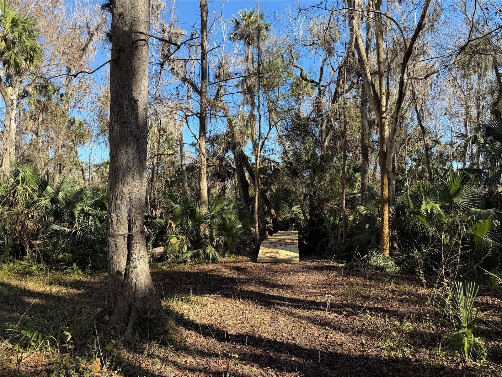 Land at BRONSON RD, SORRENTO, photo 10 of 29