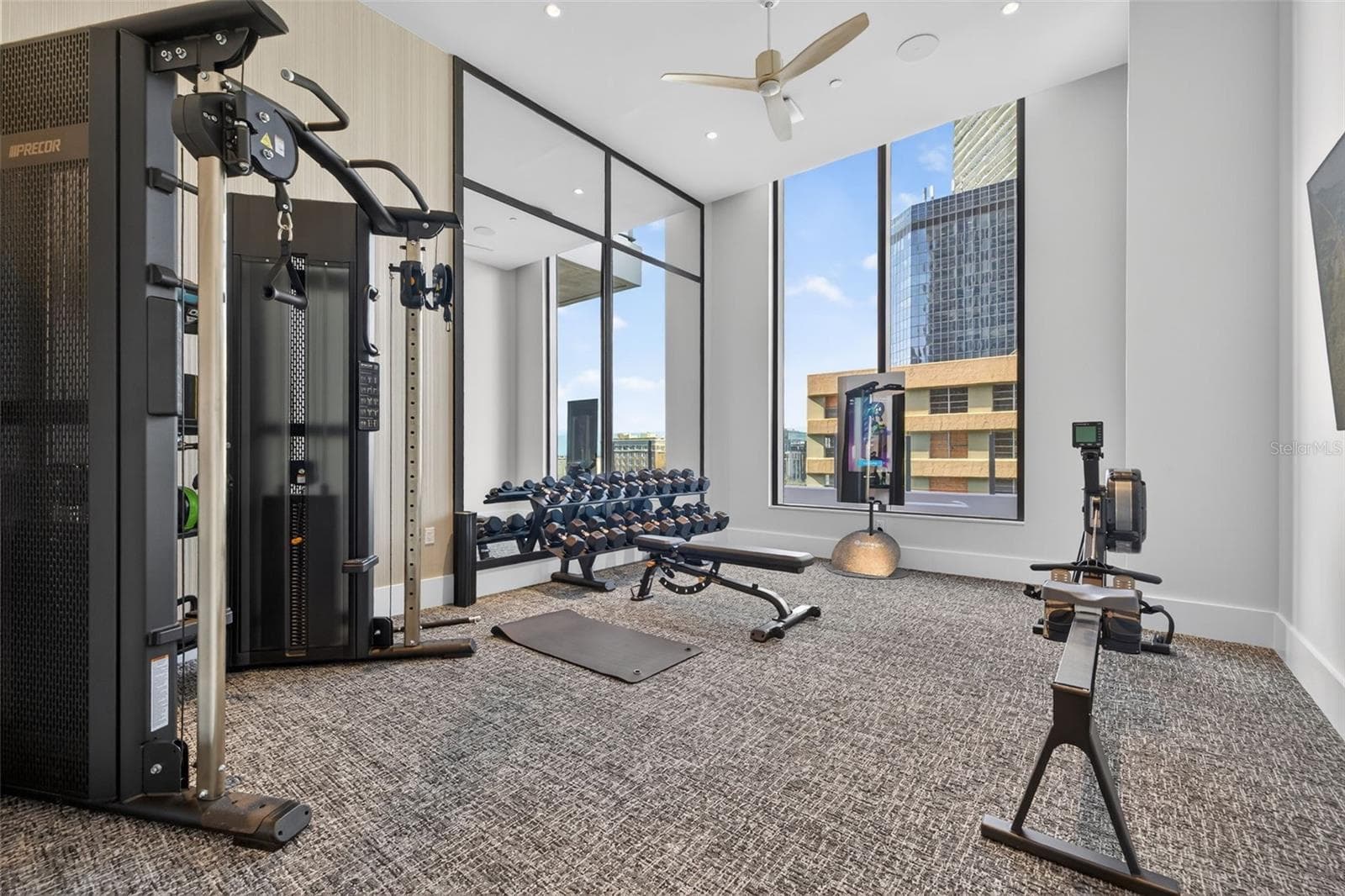 Private Fitness Area - 275 1ST AVE S #2706, ST PETERSBURG