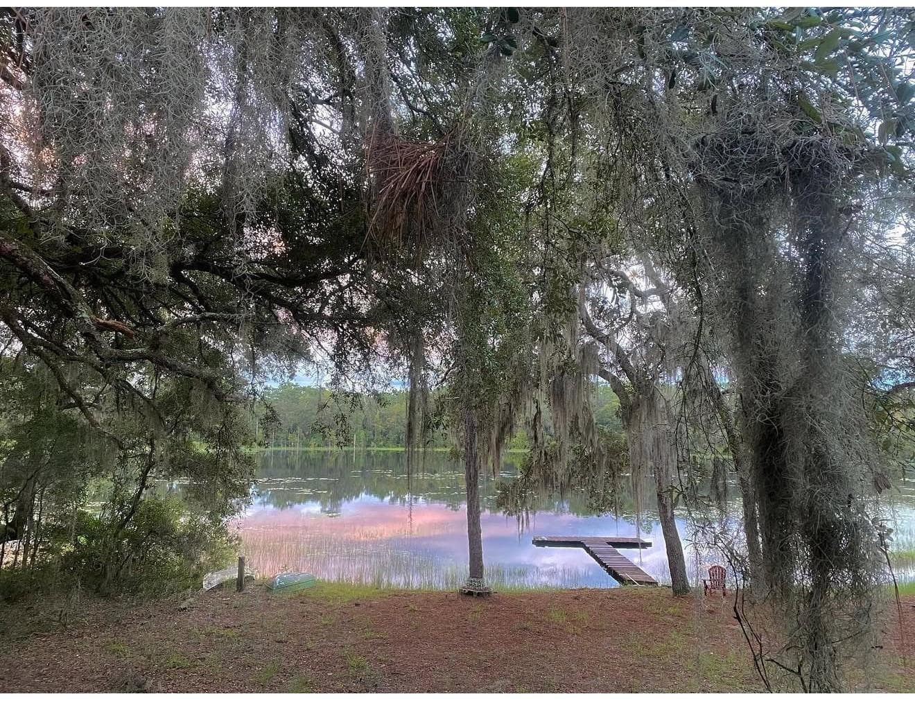 Single Family Residence at 14730 SE 61ST STREET RD, OCKLAWAHA, photo 67 of 88