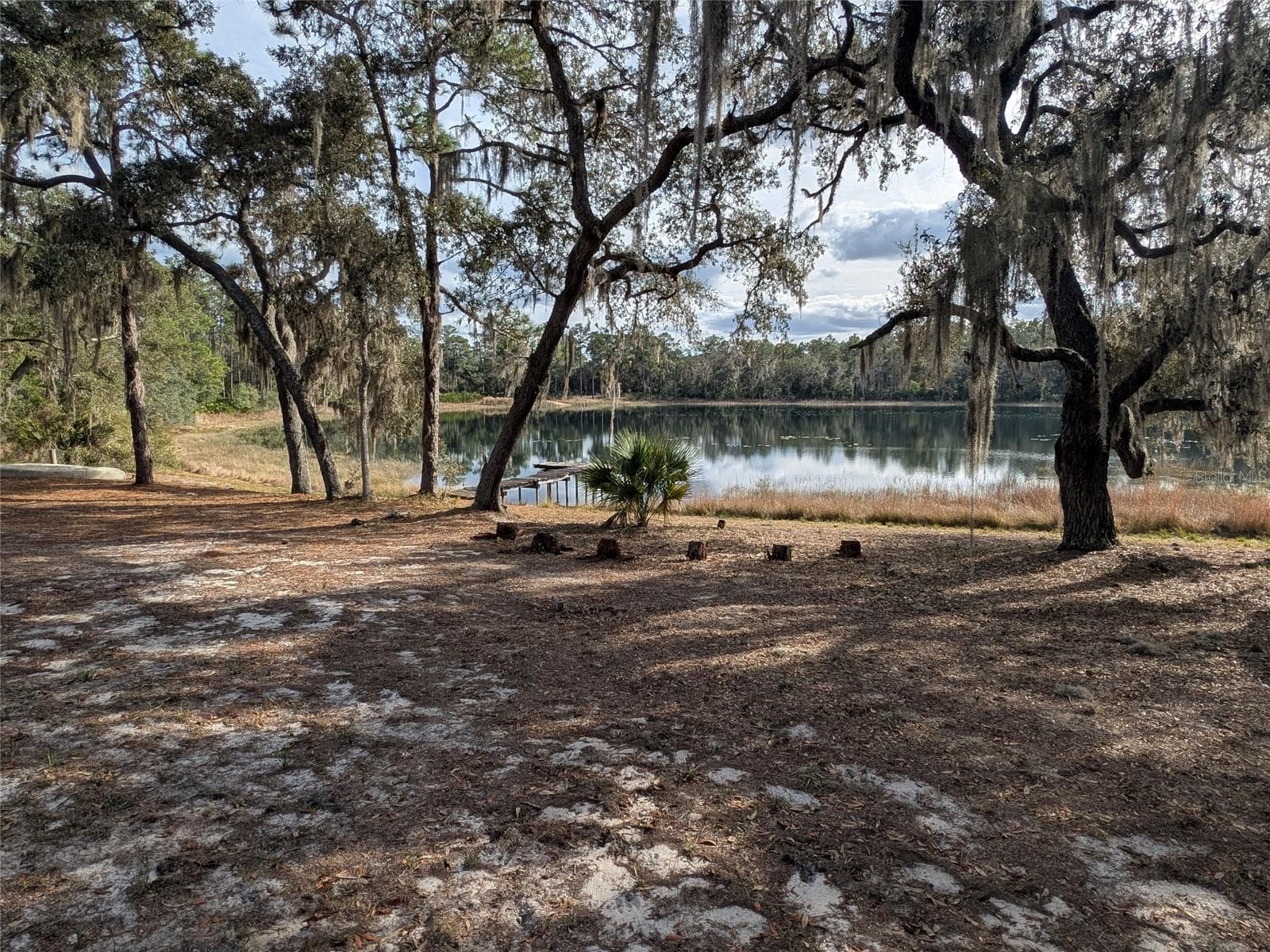 Single Family Residence at 14730 SE 61ST STREET RD, OCKLAWAHA, photo 78 of 88