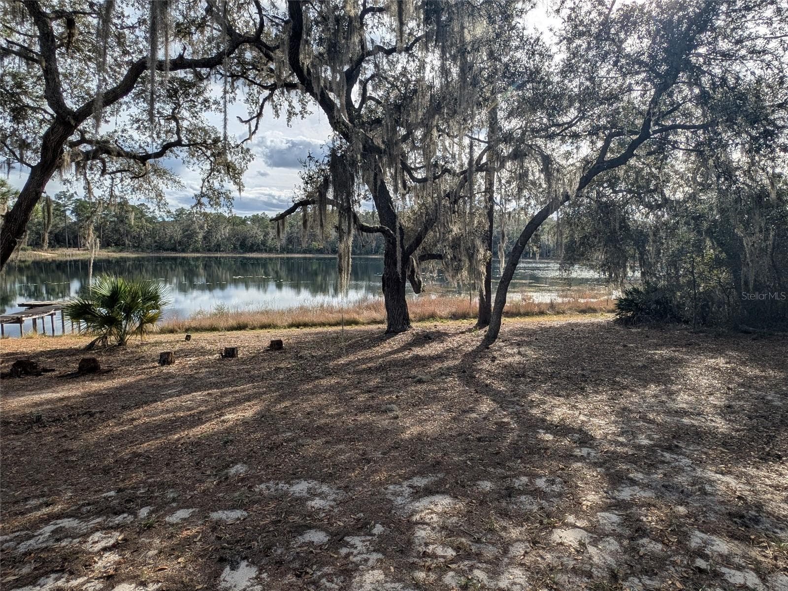 Single Family Residence at 14730 SE 61ST STREET RD, OCKLAWAHA, photo 79 of 88