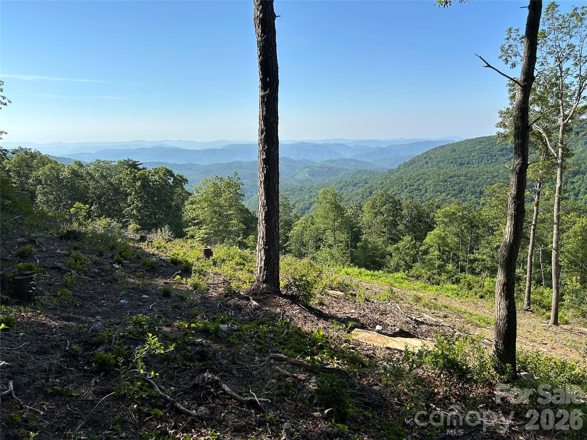 Summer views! - Lot 23 Bluebell Trail, Boone