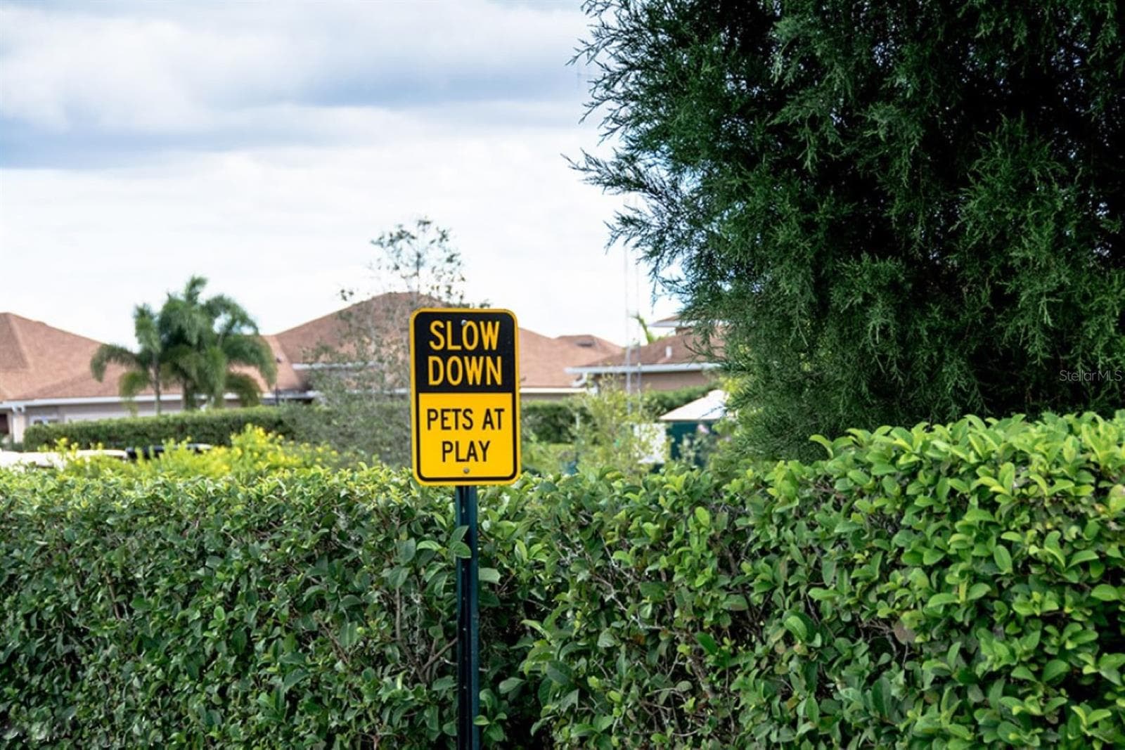 Lake Ashton has 3 pet parks for our "furry" residents. - 4360 ASHTON CLUB DR, LAKE WALES