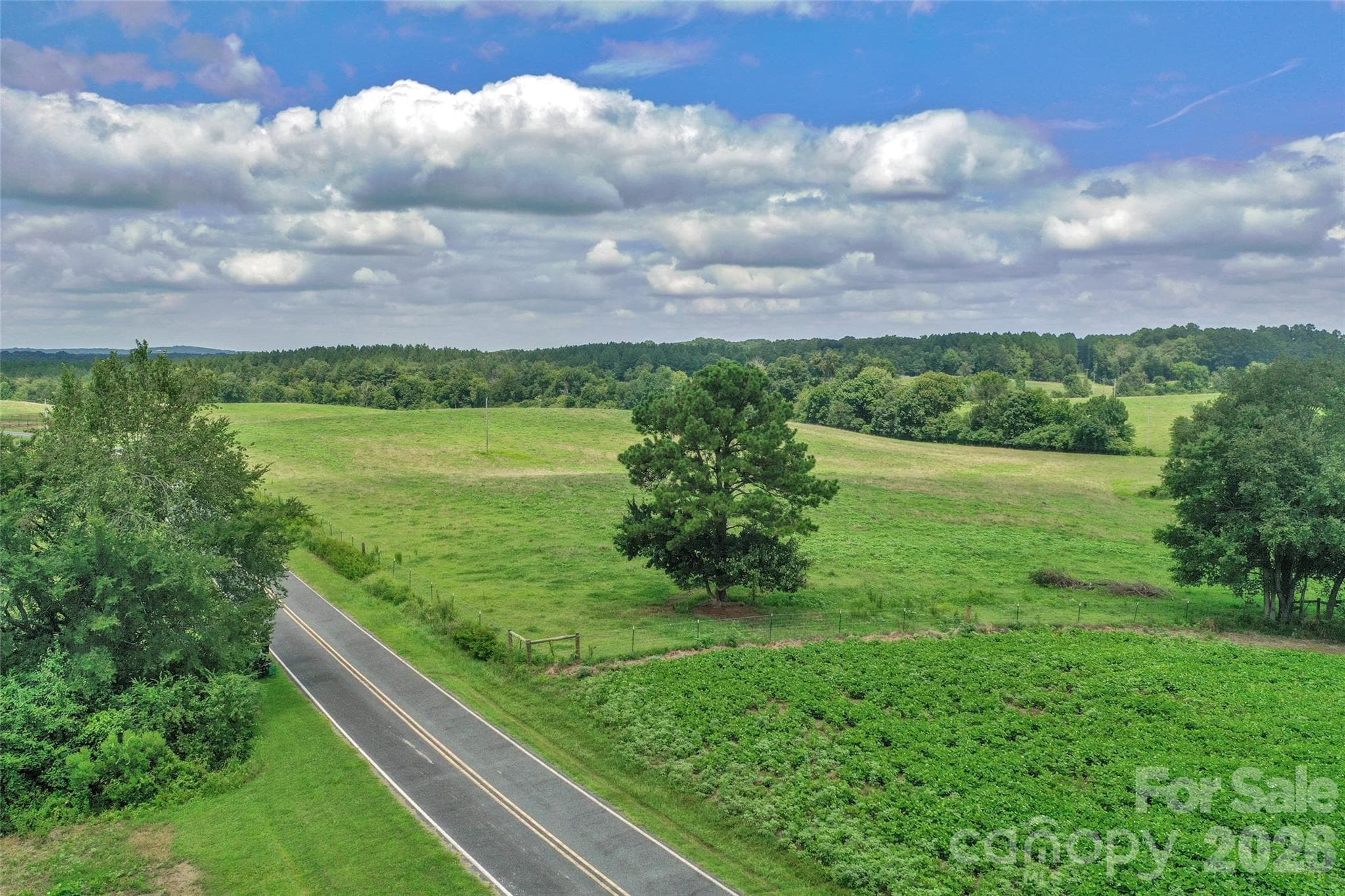 0000 Lucy Short Cut Road