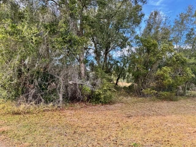 Land at 195 LAKE MOLLY AVE, DELAND, photo 3 of 19
