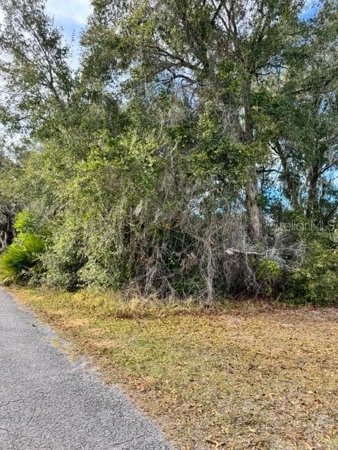 Land at 195 LAKE MOLLY AVE, DELAND, photo 5 of 19
