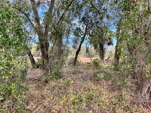 Land at 195 LAKE MOLLY AVE, DELAND, photo 6 of 19