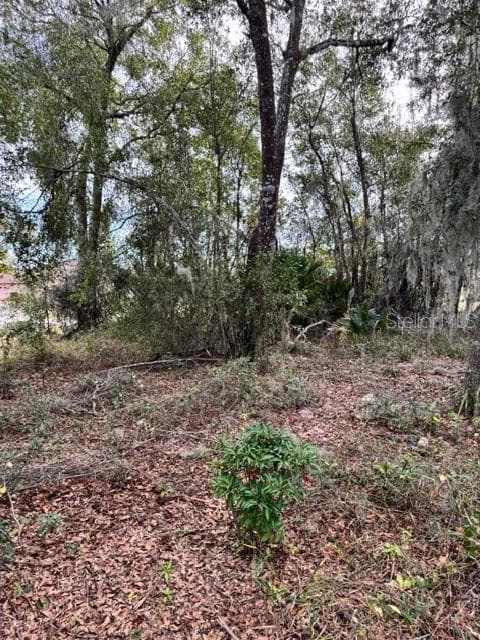 Land at 195 LAKE MOLLY AVE, DELAND, photo 7 of 19