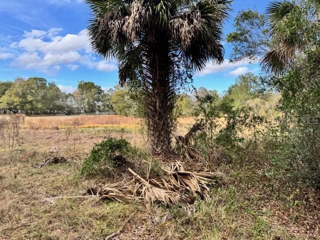 Land at 195 LAKE MOLLY AVE, DELAND, photo 8 of 19