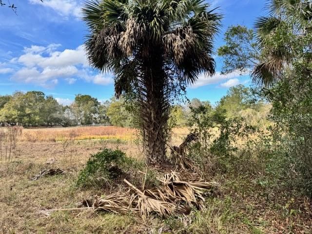 Land at 195 LAKE MOLLY AVE, DELAND, photo 9 of 19