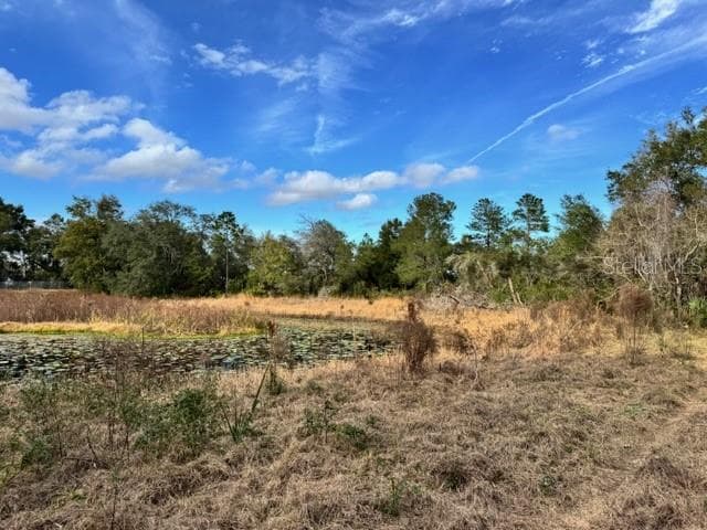 Land at 195 LAKE MOLLY AVE, DELAND, photo 10 of 19