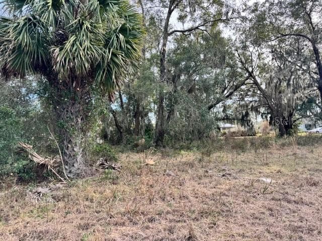 Land at 195 LAKE MOLLY AVE, DELAND, photo 11 of 19