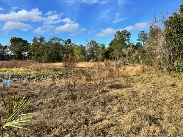Land at 195 LAKE MOLLY AVE, DELAND, photo 13 of 19