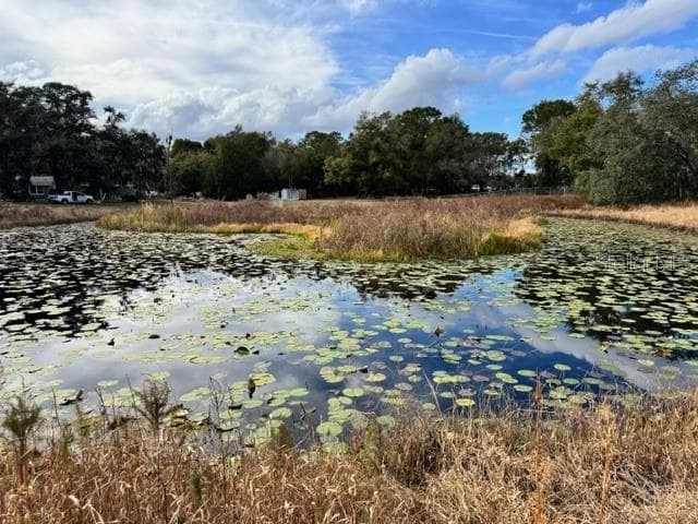 Land at 195 LAKE MOLLY AVE, DELAND, photo 14 of 19