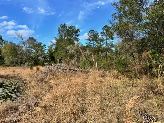 Land at 195 LAKE MOLLY AVE, DELAND, photo 15 of 19