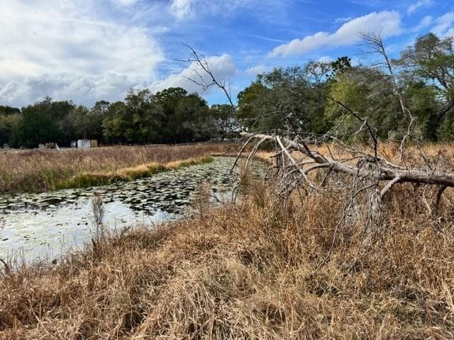 Land at 195 LAKE MOLLY AVE, DELAND, photo 17 of 19