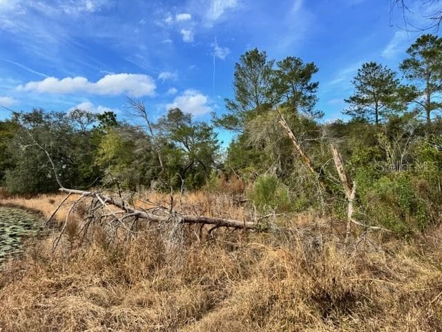 Land at 195 LAKE MOLLY AVE, DELAND, photo 19 of 19