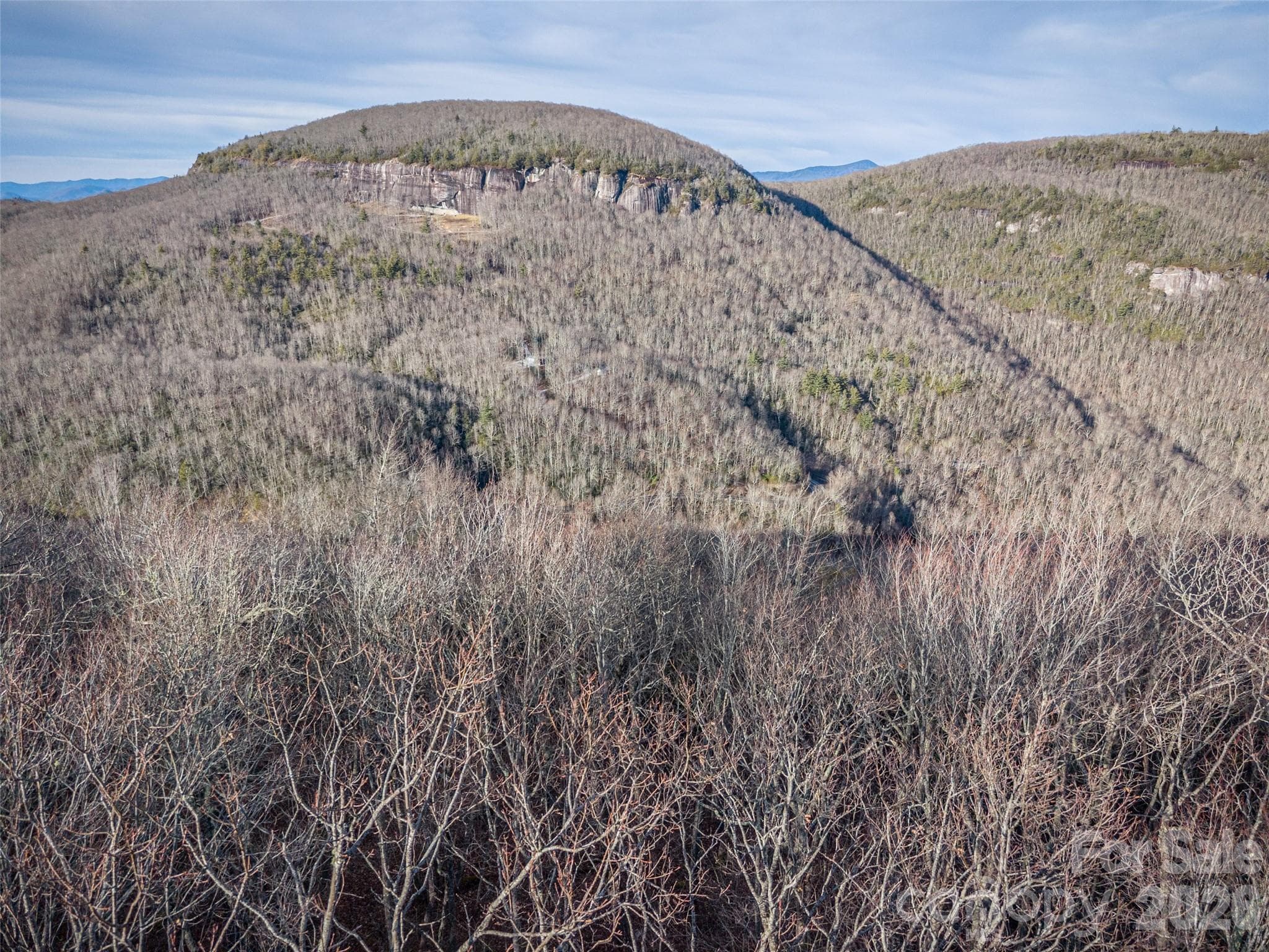 Lot at Lake Toxaway, photo 13 of 23