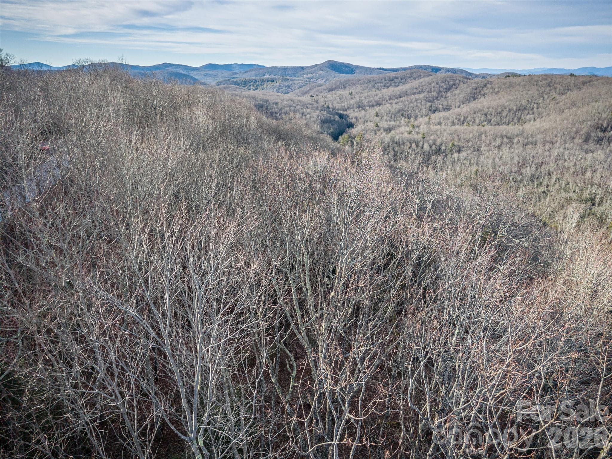 Lot at Lake Toxaway, photo 20 of 23