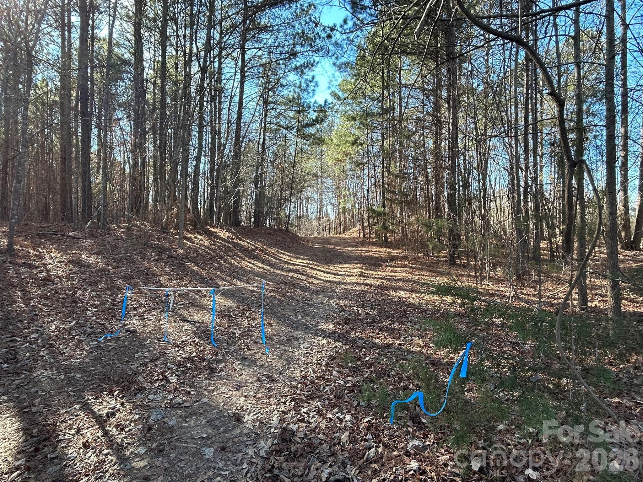 Acreage at 38 AC Mountain Gap Road, Richburg, photo 5 of 6