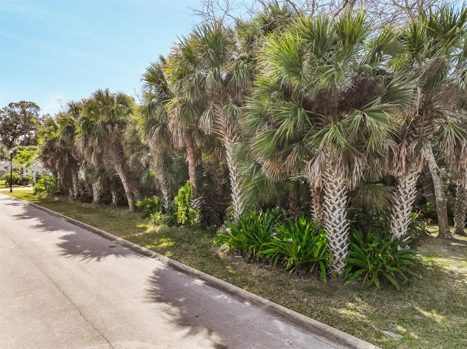 Land at 49 LONGVIEW WAY N, PALM COAST, photo 18 of 43