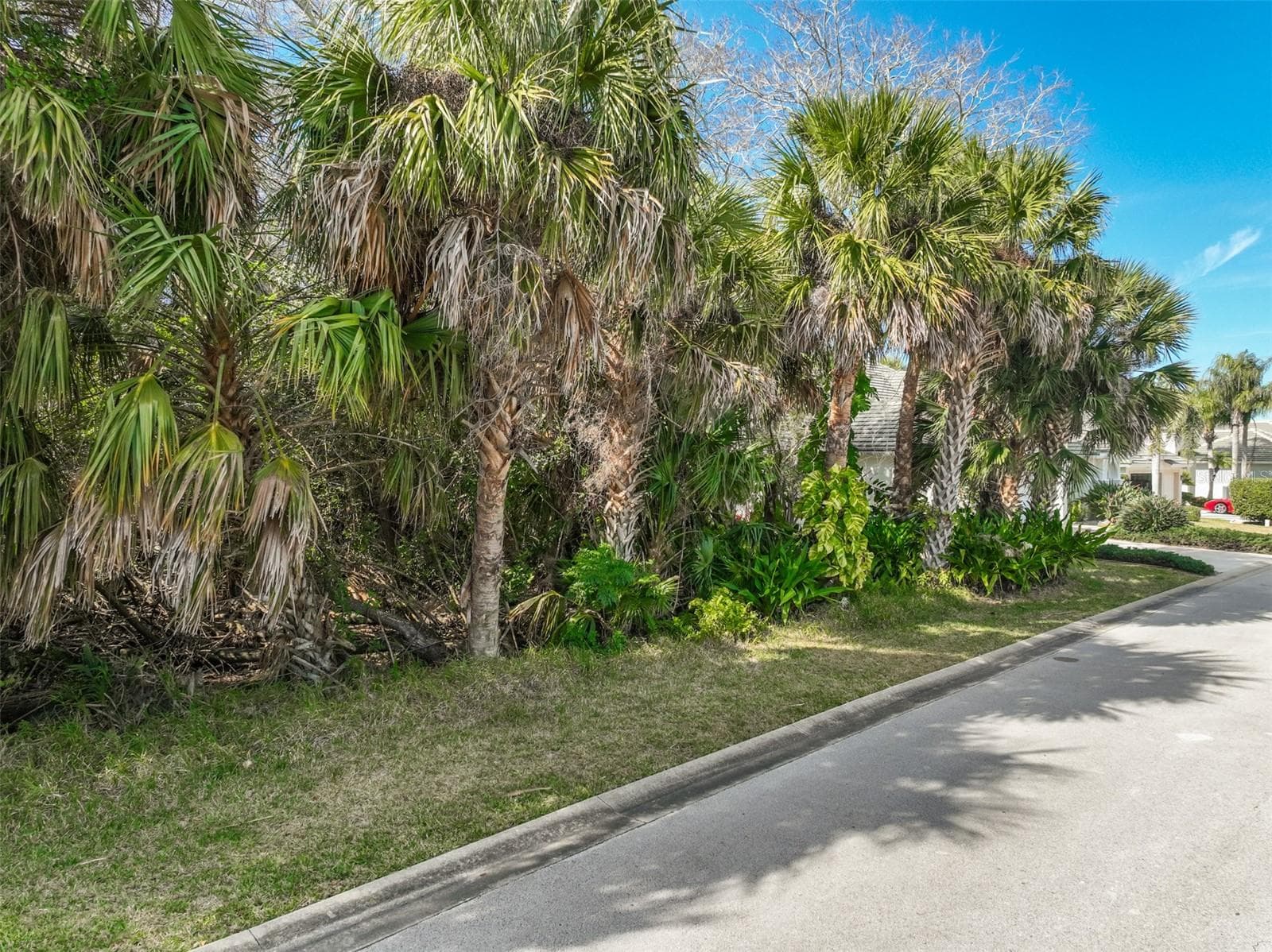 Land at 49 LONGVIEW WAY N, PALM COAST, photo 20 of 43