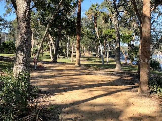 Land at 49 LONGVIEW WAY N, PALM COAST, photo 28 of 43