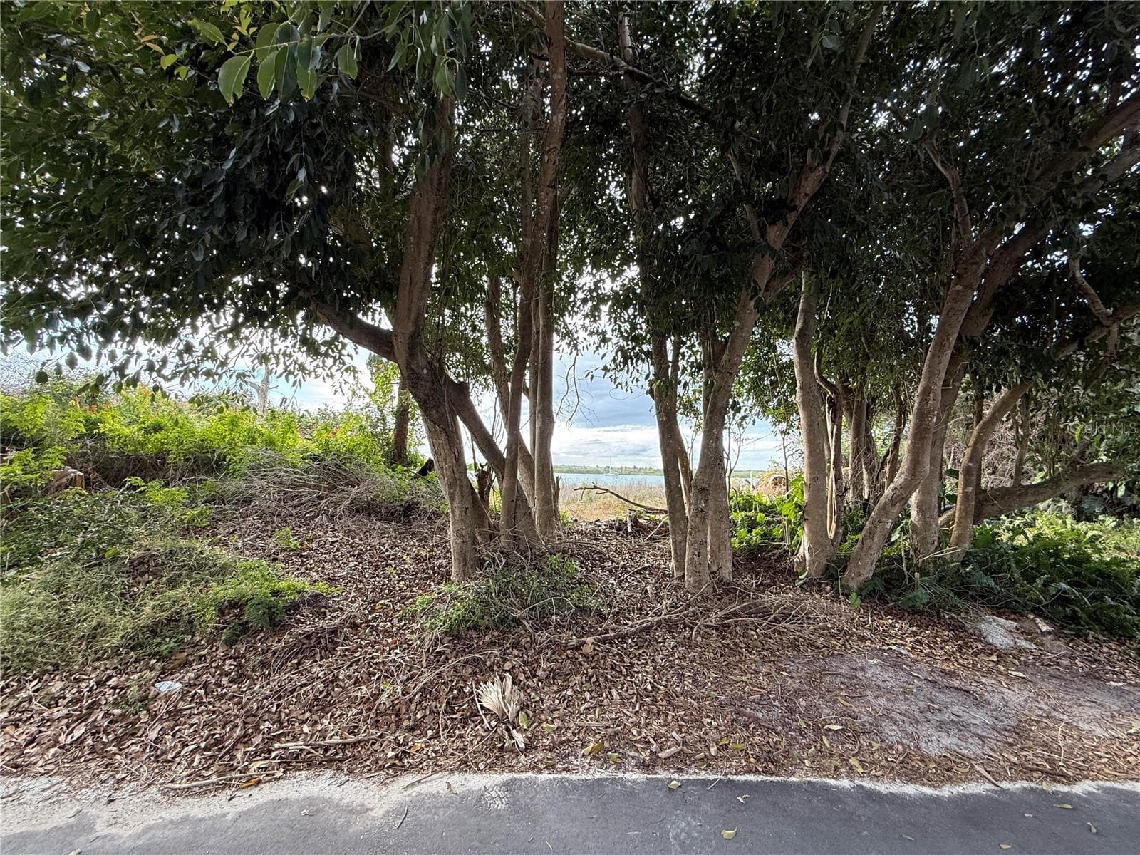 Land at 1602 N INDIAN RIVER RD, NEW SMYRNA BEACH, photo 10 of 27