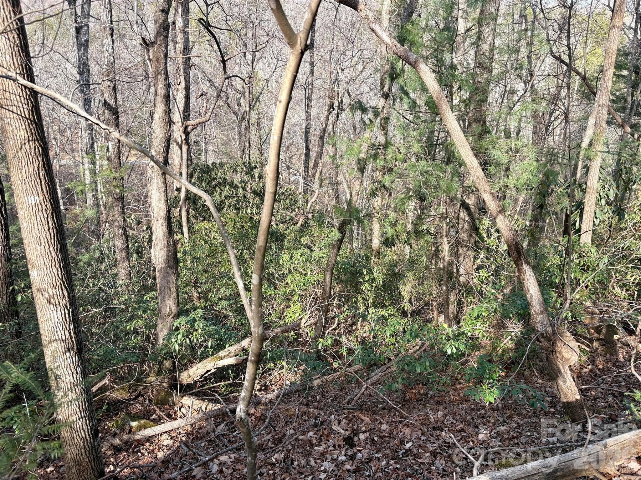 Listen to the waterfall from your lot - 0 Falls View Trail, Lake Lure