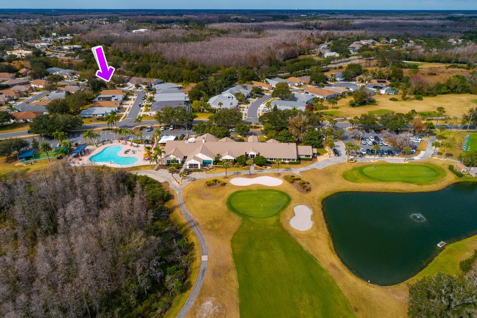 Single Family Residence at 20520 HOMOSSASA CT, LAND O LAKES, photo 3 of 55
